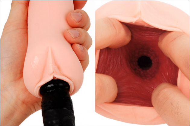 ED(�u�N�s�S)�E���R�E�x�R���P�Ɍ��ʂ̂���I�i�z�[���̎��͂Ƃ́H